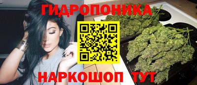 индика Ставрополь