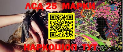 индика Ставрополь