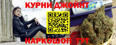 индика Ставрополь