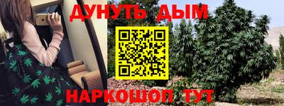 индика Ставрополь