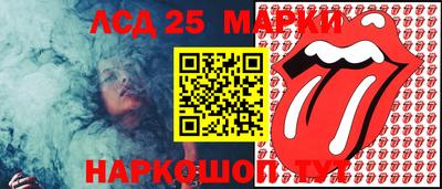 индика Ставрополь