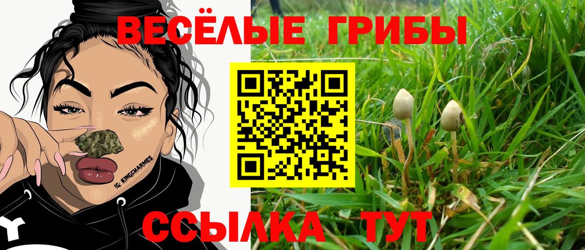 Омск  Галлюциногенные грибы Magic Shrooms  Псилоцибиновые грибы ЛСД  Вход с VPN 